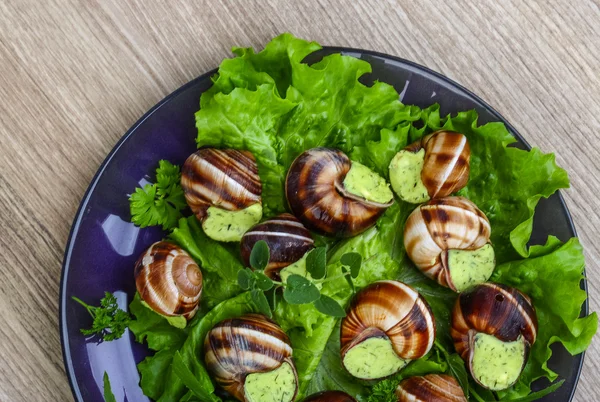 Французская кухня Escargot — стоковое фото