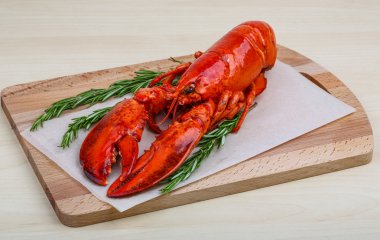 Taze haşlanmış llobster
