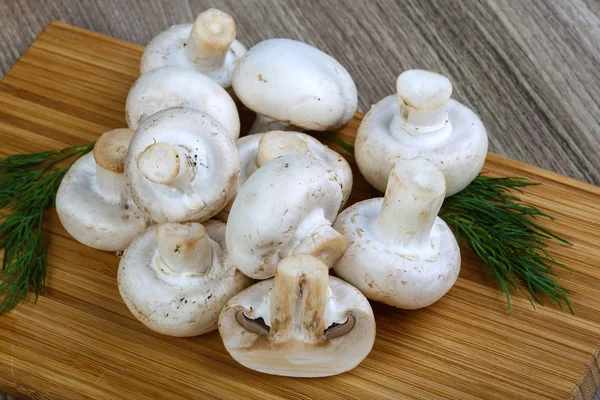 신선한 원시 Champignons — 스톡 사진