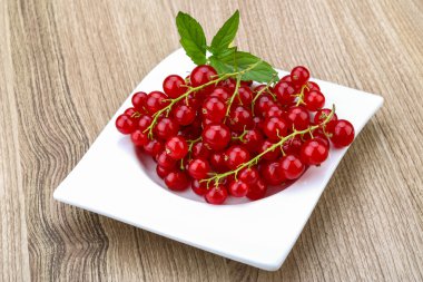 taze kırmızı kuş üzümü