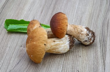 Mantar çörek yığın