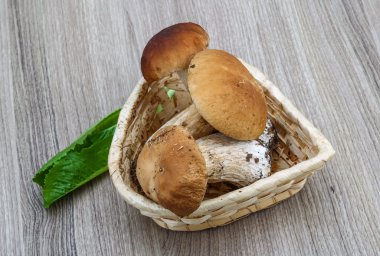 Mantar çörek yığın