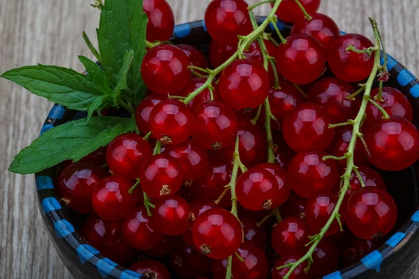 Färska röda vinbär — Stockfoto