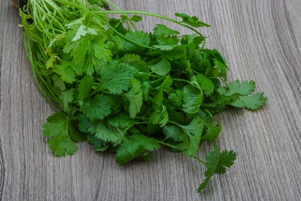 Hojas de cilantro verde — Foto de Stock