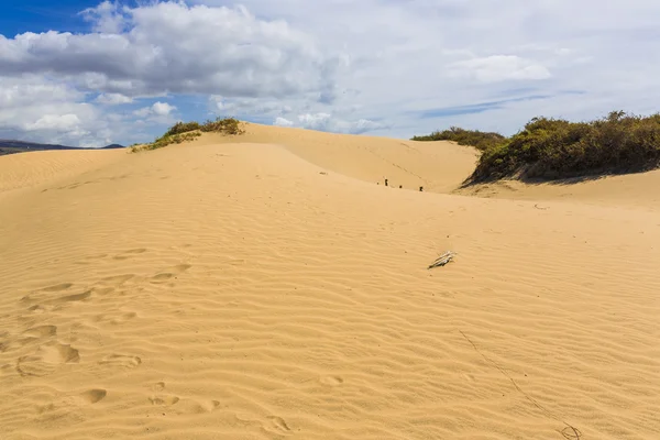 Maspalomas Duna - poušť na Kanárském ostrově Gran Canaria — Stock fotografie