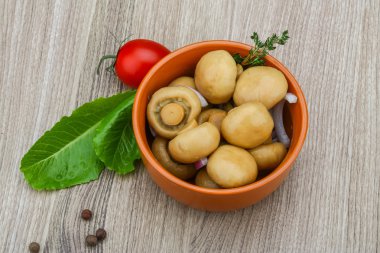 Kabın içinde turşu champignon