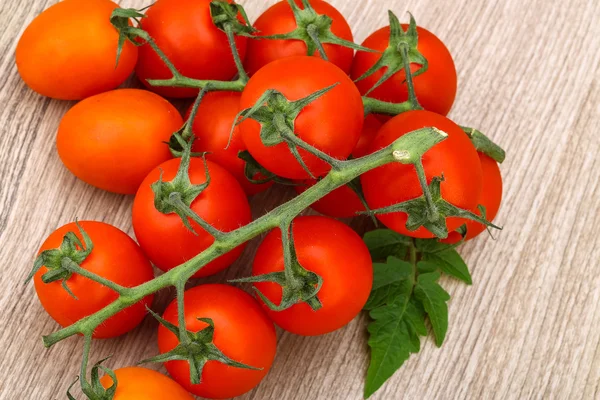 Ramo de tomates com folhas — Fotografia de Stock