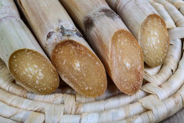 Olgun şeker çubukları