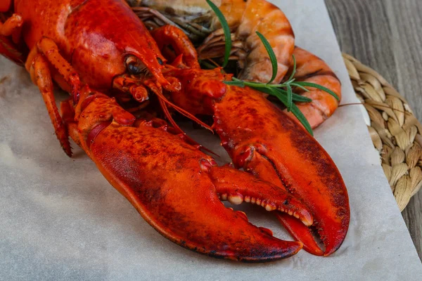 Homard et crevettes — Photo