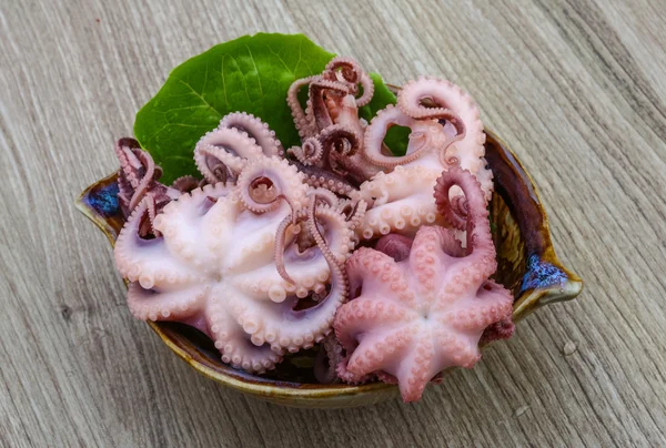 Gemarineerde octopussen in de kom — Stockfoto