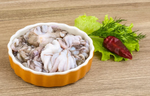 Raw baby octopus — Stock Photo, Image