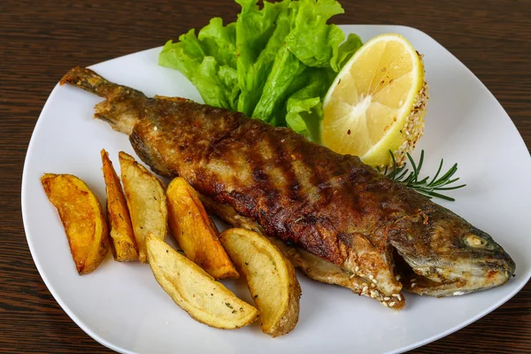 Grilled trout with potato — Stock Photo, Image