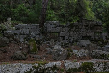 Phaselis harabelerini Türkiye'de