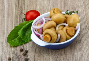 Kase salamura champignon