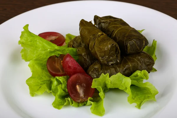 Dolma - malet kött i druva blad — Stockfoto