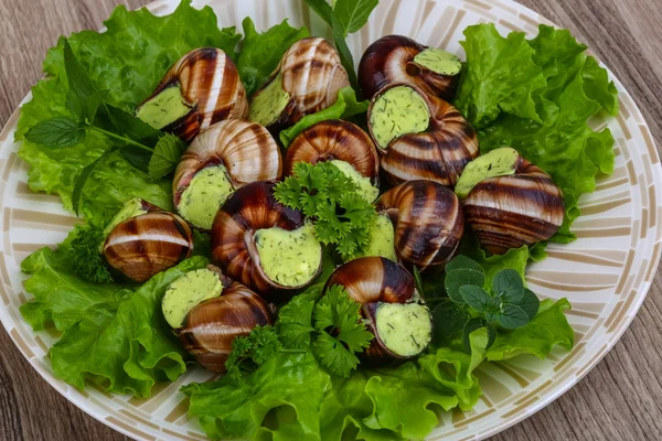 French cuisine - Escargot — Stock Photo, Image