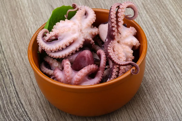 Marinated octopuses in the bowl — Stock Photo, Image