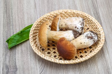 Yabani mantar çörek yığın