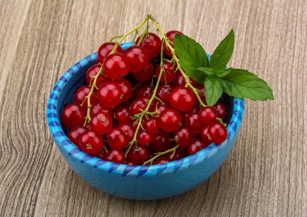 Reife rote Johannisbeeren — Stockfoto