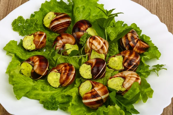 Cucina francese - Escargot — Foto Stock