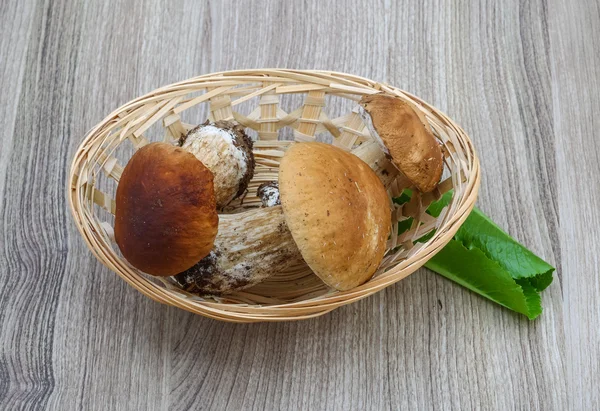 Wilde paddestoelen boletus heap — Stockfoto