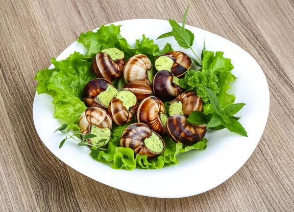 法国菜-蜗牛 — 图库照片