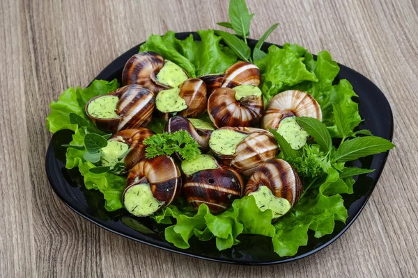 Fransk kjøkken - Escargot – stockfoto