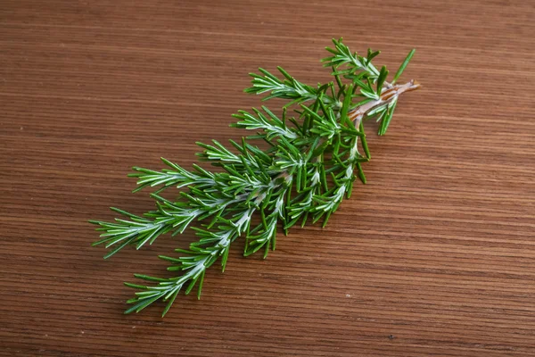 Grüner frischer Rosmarinzweig — Stockfoto