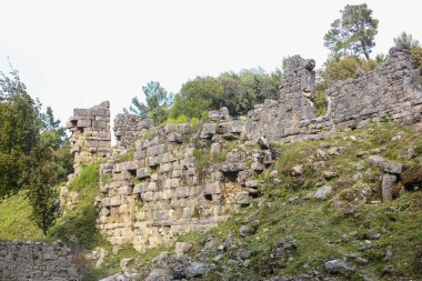Phaselis harabelerini Türkiye'de
