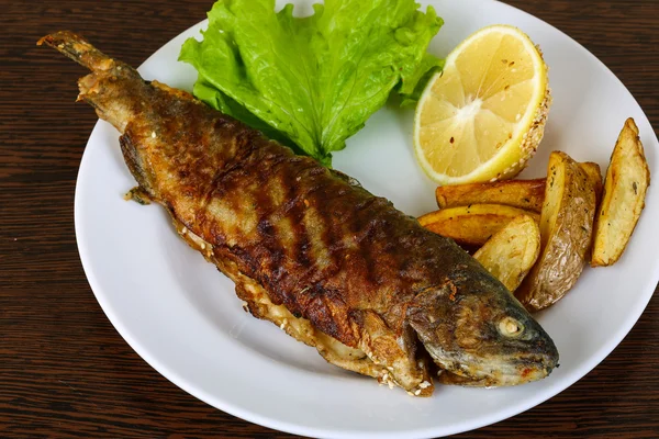 Grilled trout with potato — Stock Photo, Image