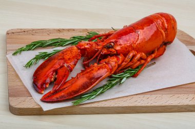 Taze haşlanmış ıstakoz