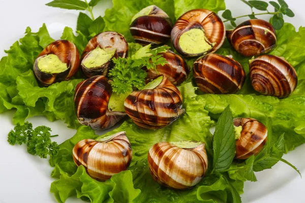 Escargot con burro di prezzemolo — Foto Stock