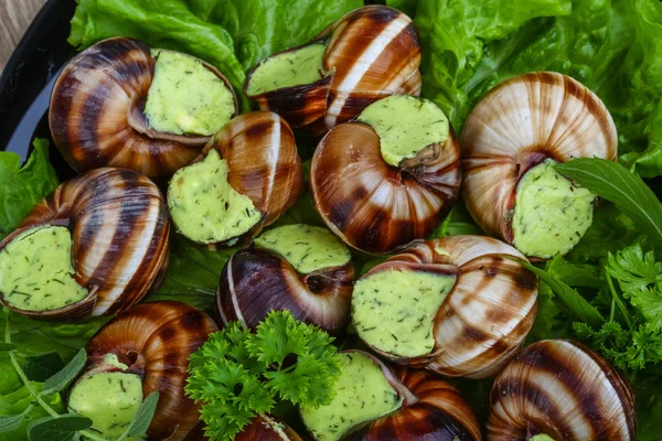 Cocina francesa - Escargot —  Fotos de Stock