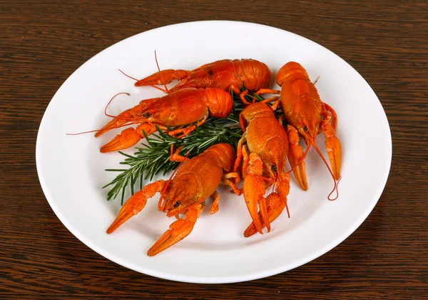 Boiled Crayfish with rosemary — Stock Photo, Image