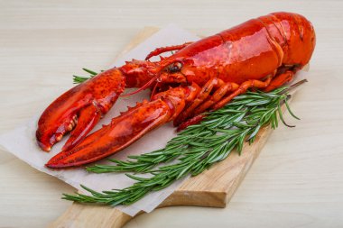 Taze haşlanmış ıstakoz