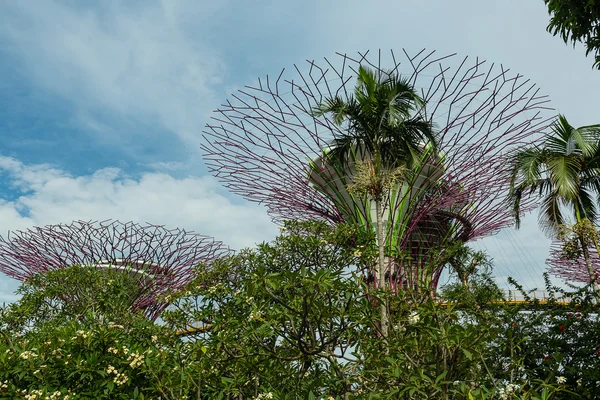 Trädgårdar vid bukten i Singapore — Stockfoto