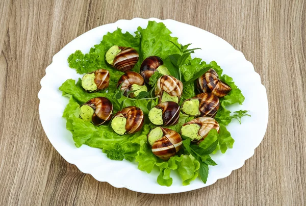 Cucina francese - Escargot — Foto Stock