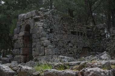Phaselis harabelerini Türkiye'de