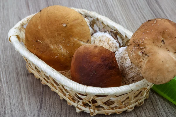 Vild svamp boletus heap — Stockfoto