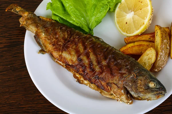 Trucha a la parrilla con papa — Foto de Stock