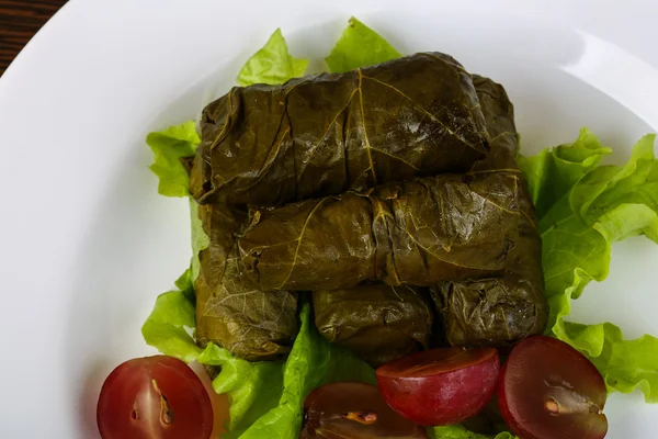 Dolma - Hackfleisch in Traubenblättern — Stockfoto