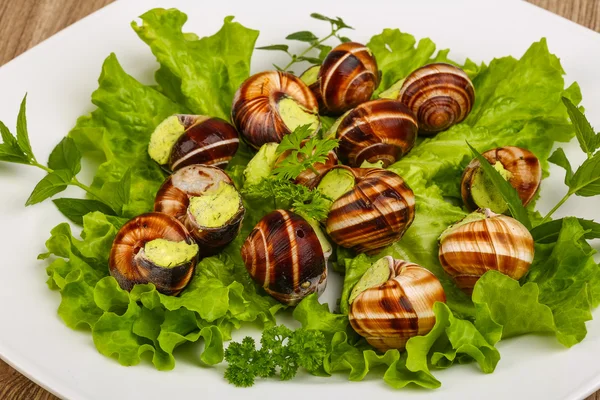Escargot with parsley butter — Stock Photo, Image