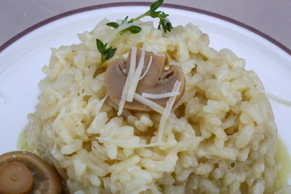 Risotto met paddestoel — Stockfoto