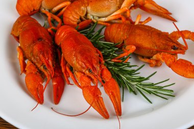 Rosemary ile haşlanmış Crayfishes