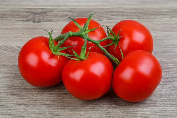 Tomaten auf dem Zweig — Stockfoto