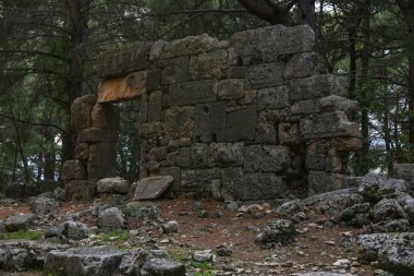 Phaselis harabelerini Türkiye'de