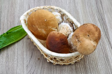 Yabani mantar çörek yığın