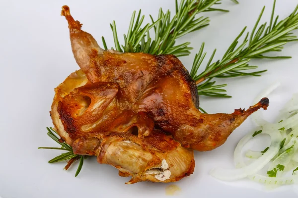 Grilled quail with rosemary — Stock Photo, Image