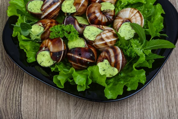 Cuisine française - Escargots au beurre — Photo