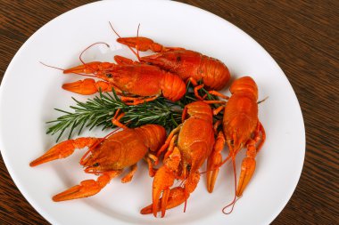 Rosemary ile haşlanmış Crayfishes